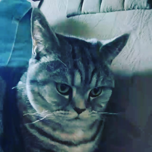 artur_khv в LOOKY. . Былое и думы!