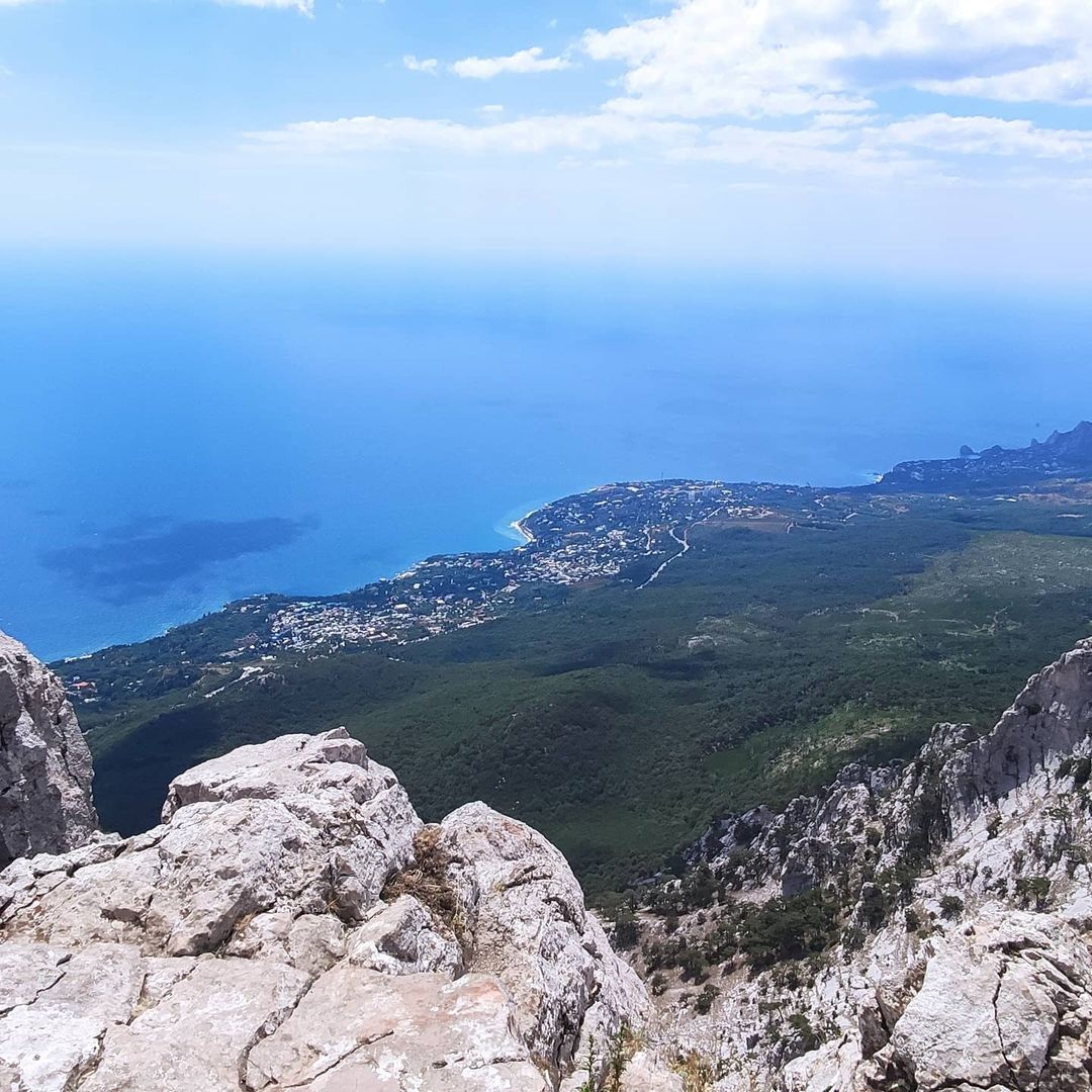 timay_1 в LOOKY — публикация