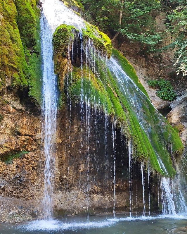 timay_1 в LOOKY. . null