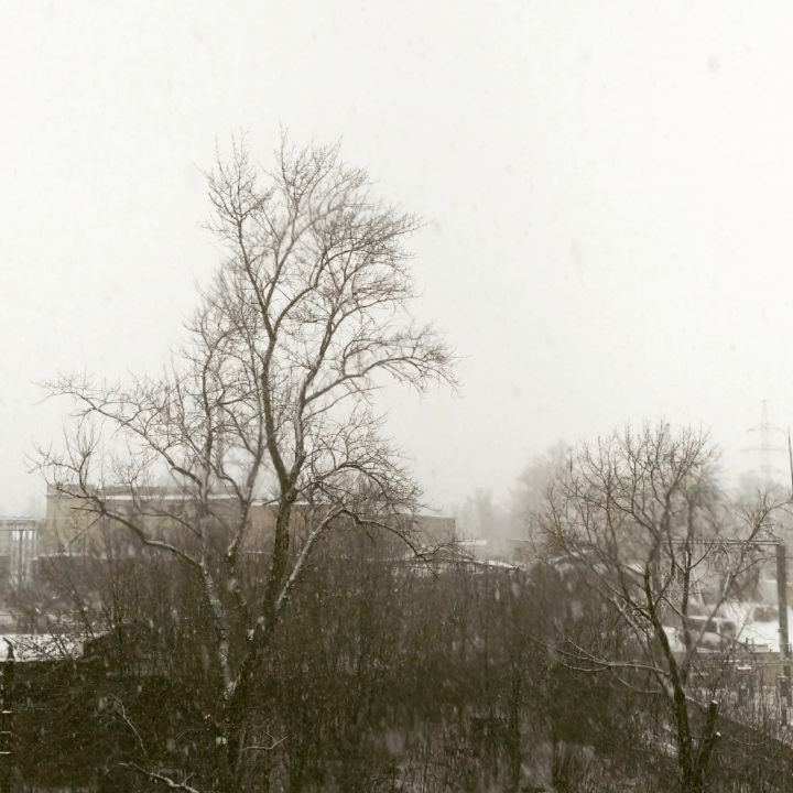 ginger_r_ в LOOKY. #калуга,#снег,#зима,#скороновыйгод,#вожиданиичуда. А снег идёт... #калу...