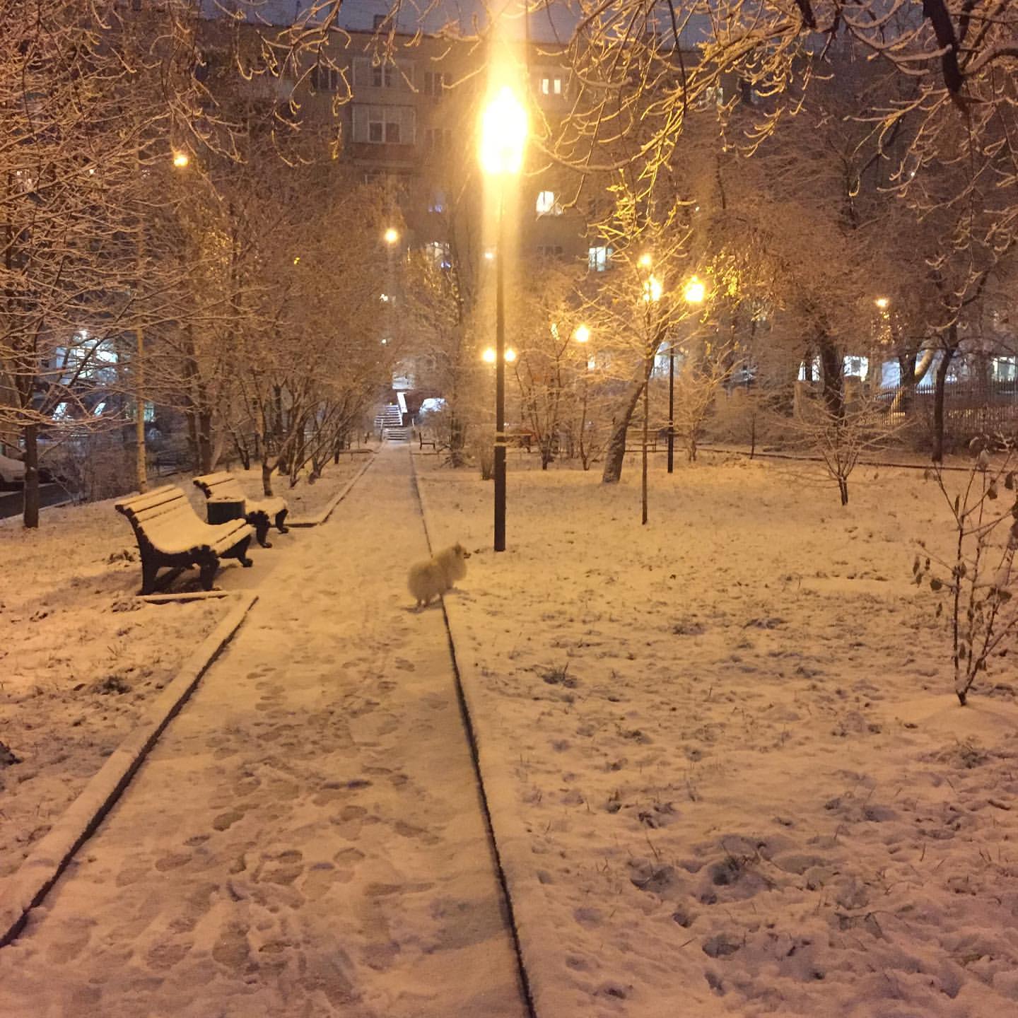 sveserova27 в LOOKY. . Снег кружится,
Снег ...