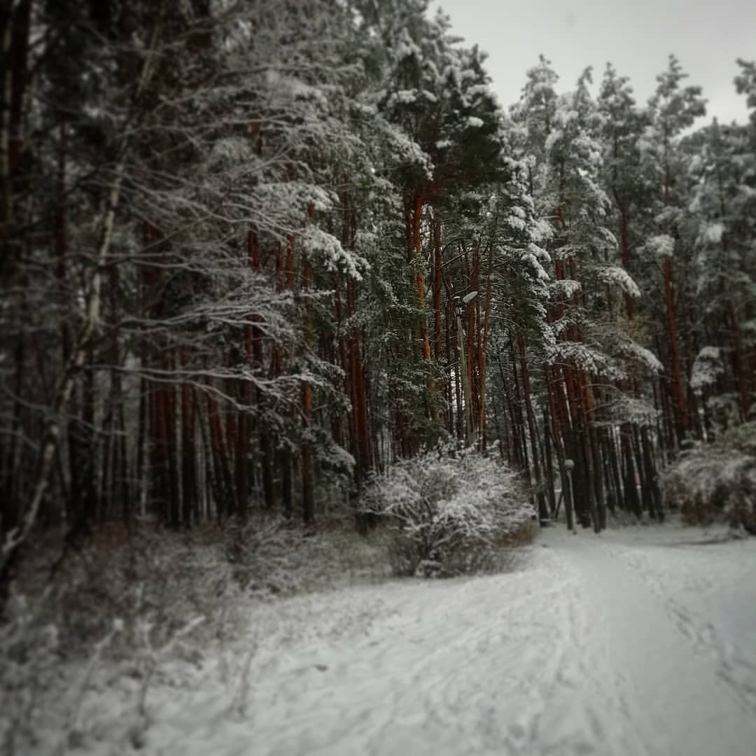 _mari.gera