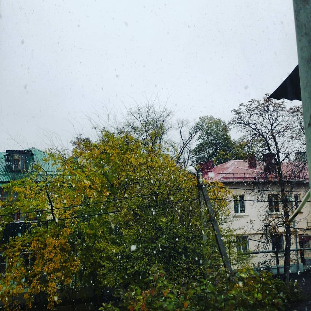 ivan.zabolotskyj in LOOKY. . null