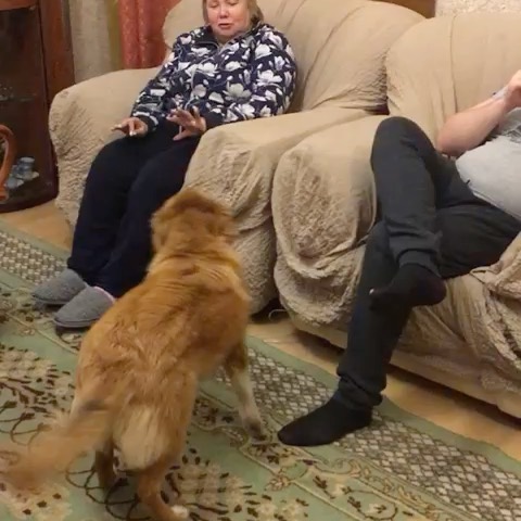 nigmati в LOOKY. . Ну, вроде, подружили...