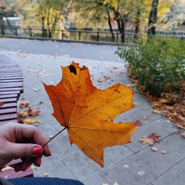 panyushkinroman в LOOKY. . null