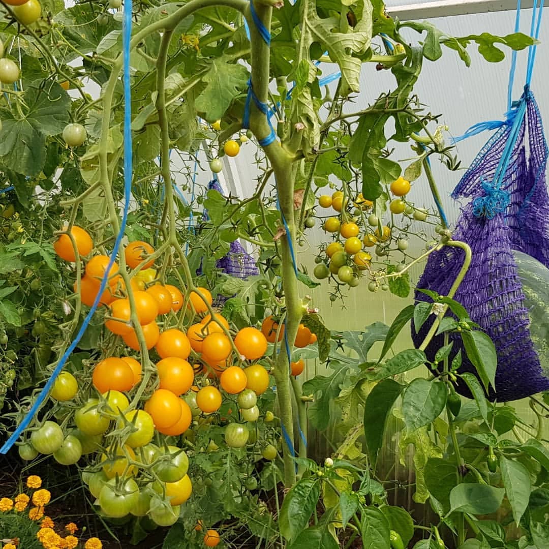 l.e._l.e.n.a в LOOKY — фото 3