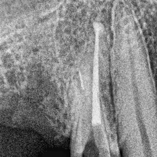 alkozelcer1 в LOOKY — фото 2