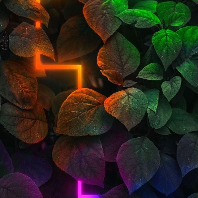 hardblack344 в LOOKY. . null