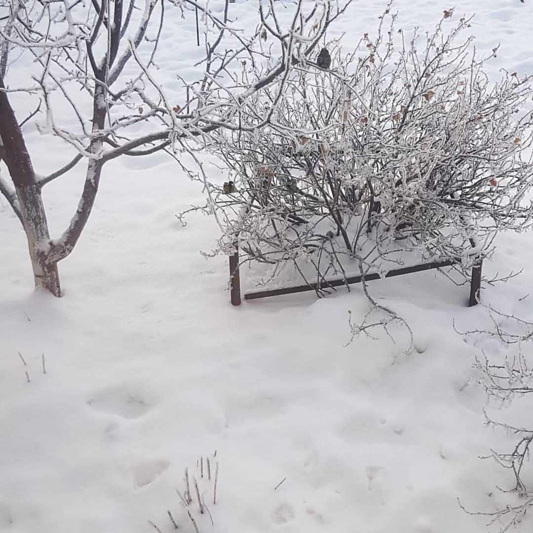 arinaaa_gamer in LOOKY. . ❄🐦❄