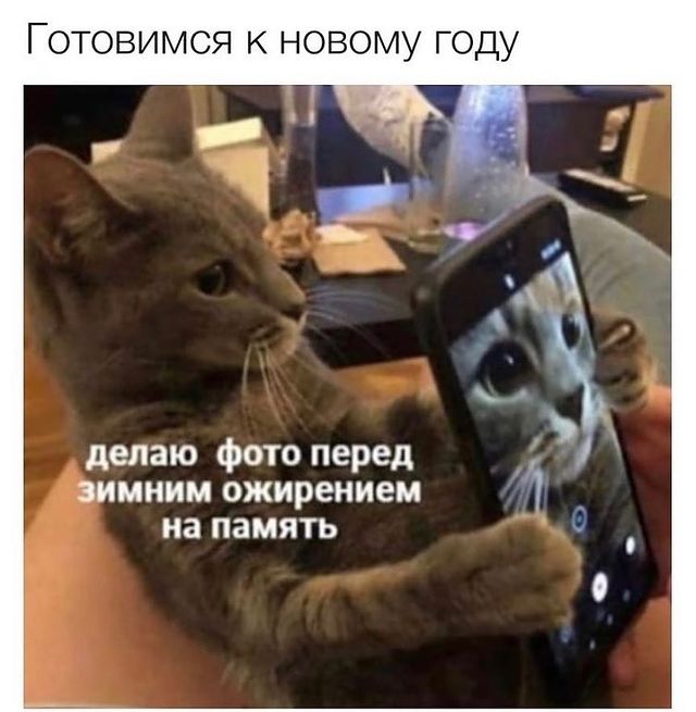 tanyusha_s_174 в LOOKY. . null