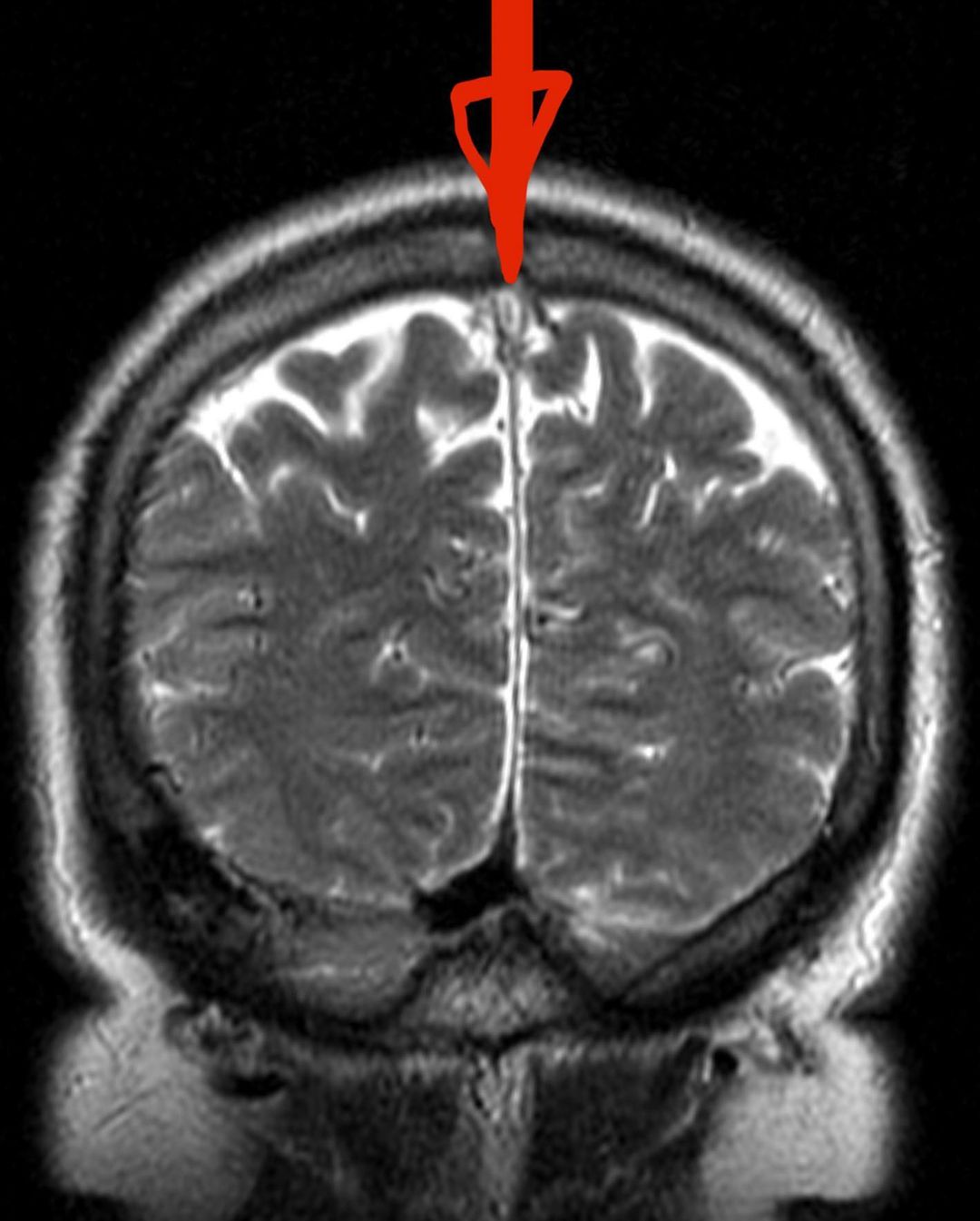 russianradiology в LOOKY — фото 2