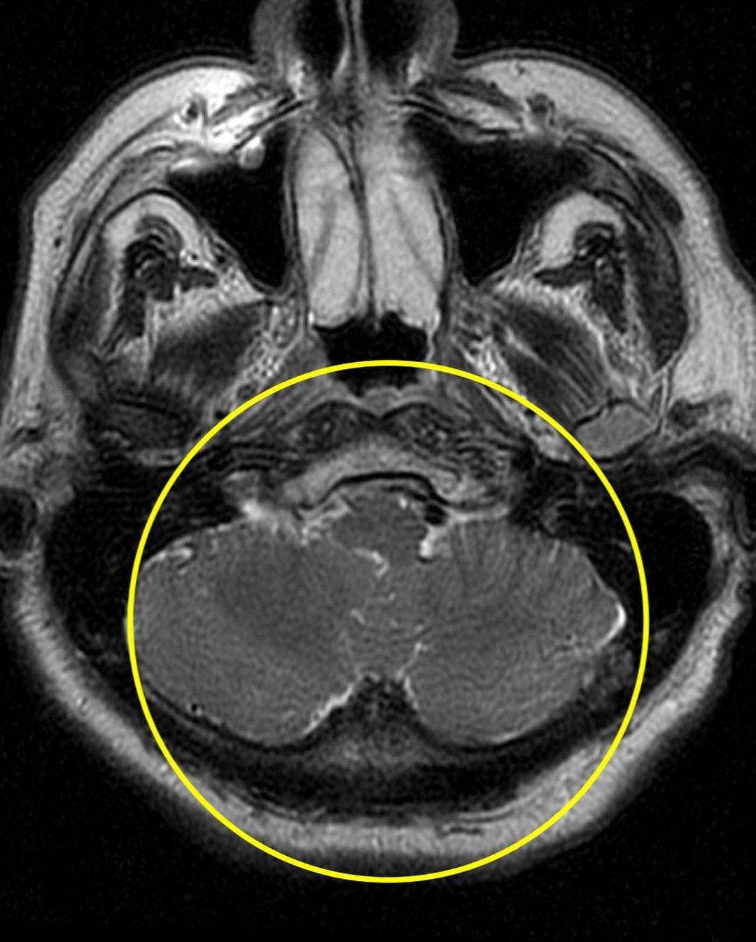 russianradiology в LOOKY — фото 6