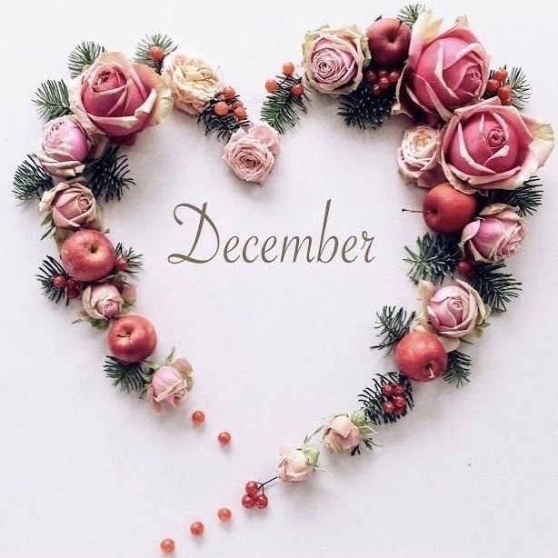 eleno4ka_24.11 в LOOKY. . Ну здравствуй, много...