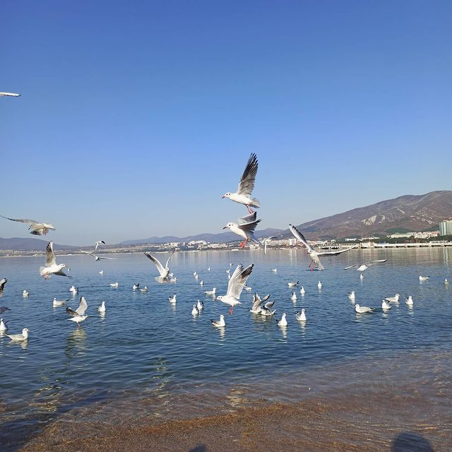 valentinrolgeyzer в LOOKY. . null