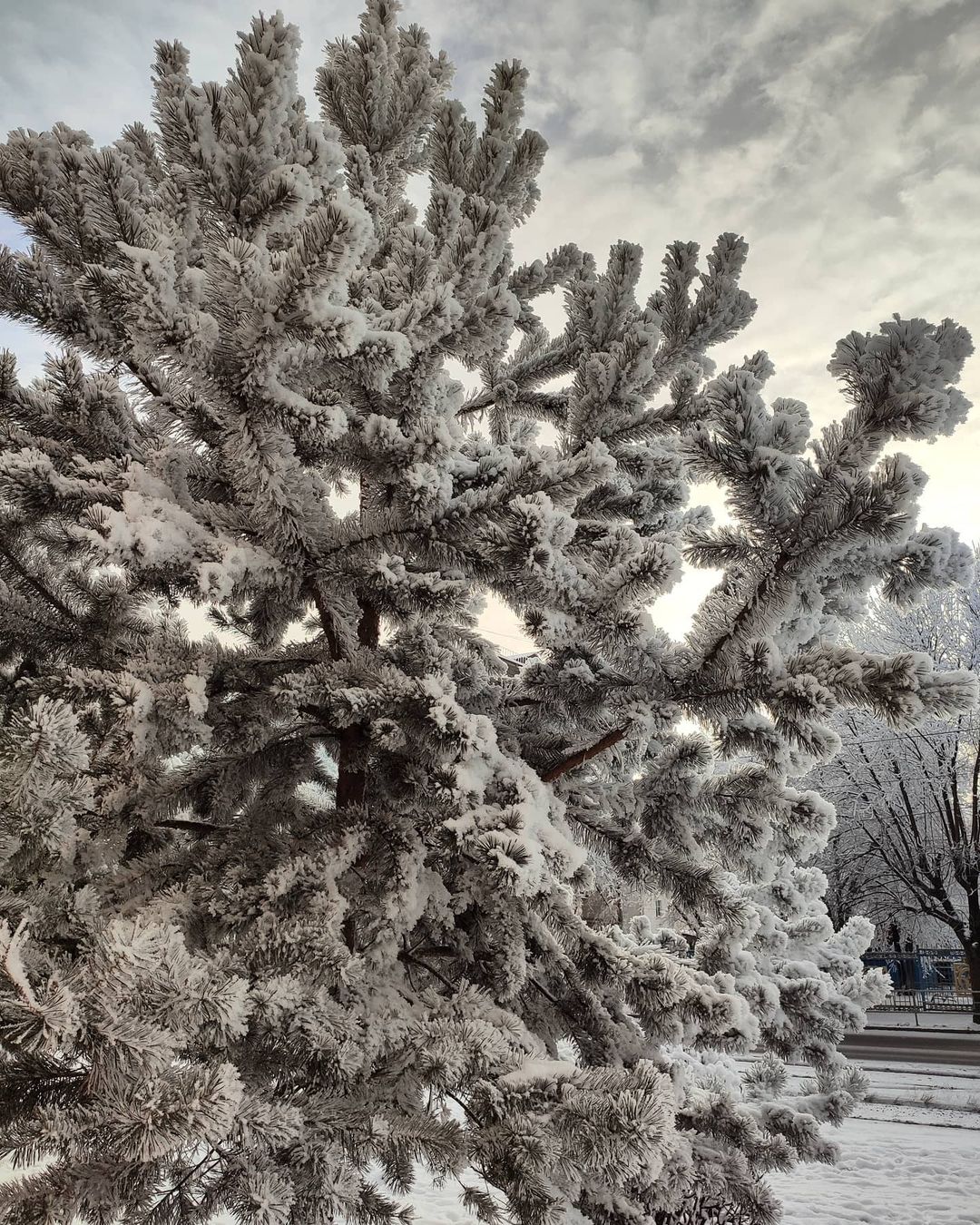 by_obelensky в LOOKY — публикация