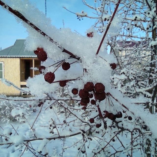 no_chamomile в LOOKY. . Зимние зарисовки❄️❄️...