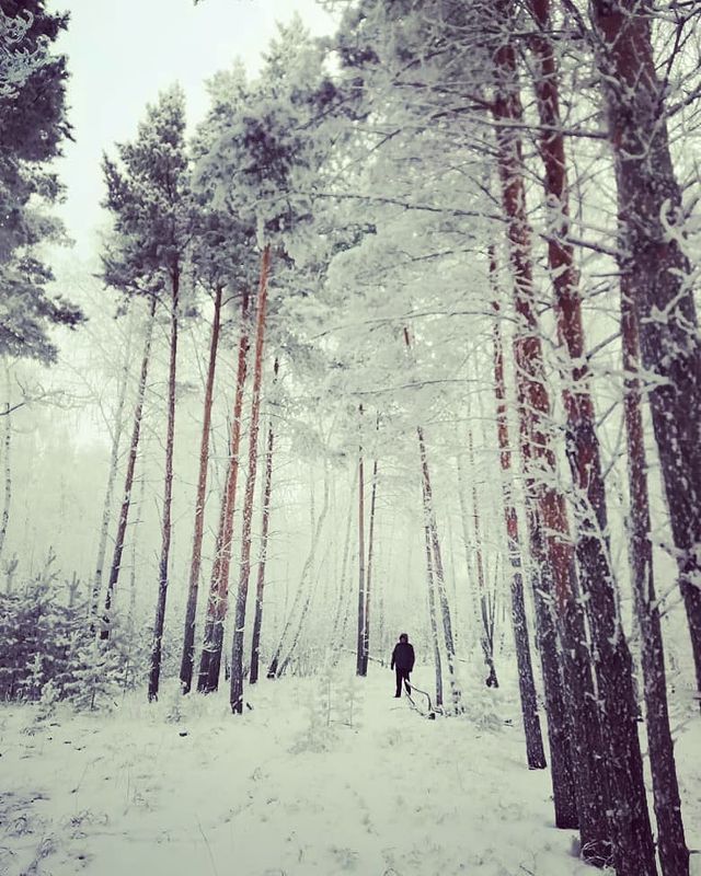 deis55 в LOOKY. #зима,#лес,#декабрь,#сибирь,#омскаяобласть,#хорошийдень,#вдеревне,#siberia,#omsk. Прогулки по снежному...