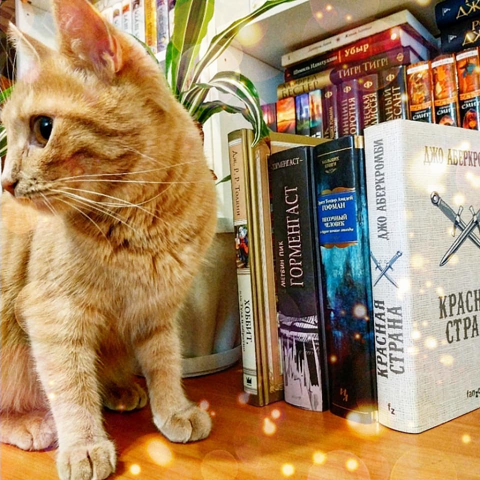 joni.reads.books в LOOKY. . Итоги Ноября 2020
⠀
...