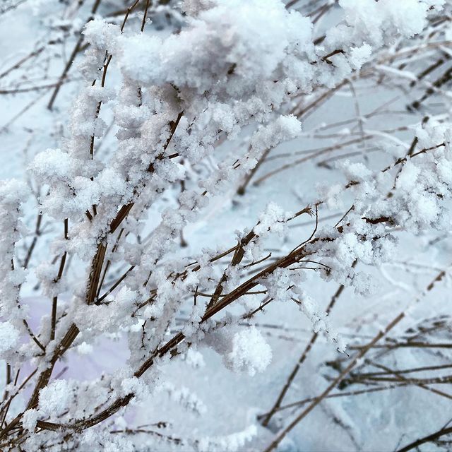 balbatunov.in в LOOKY. #зима,#красоты. #зима
#красоты
