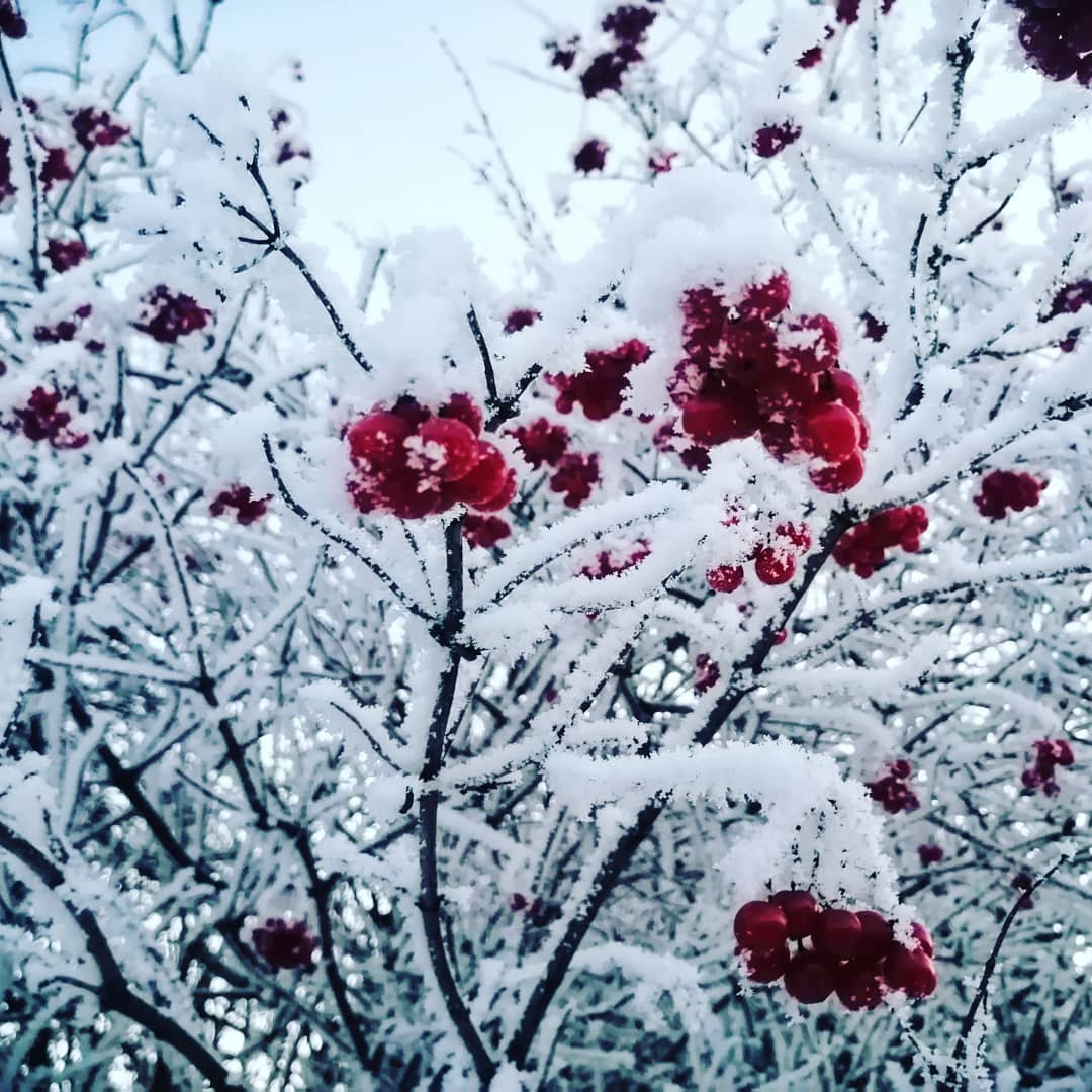 angelinabelaya1 в LOOKY. . ❄️❄️❄️