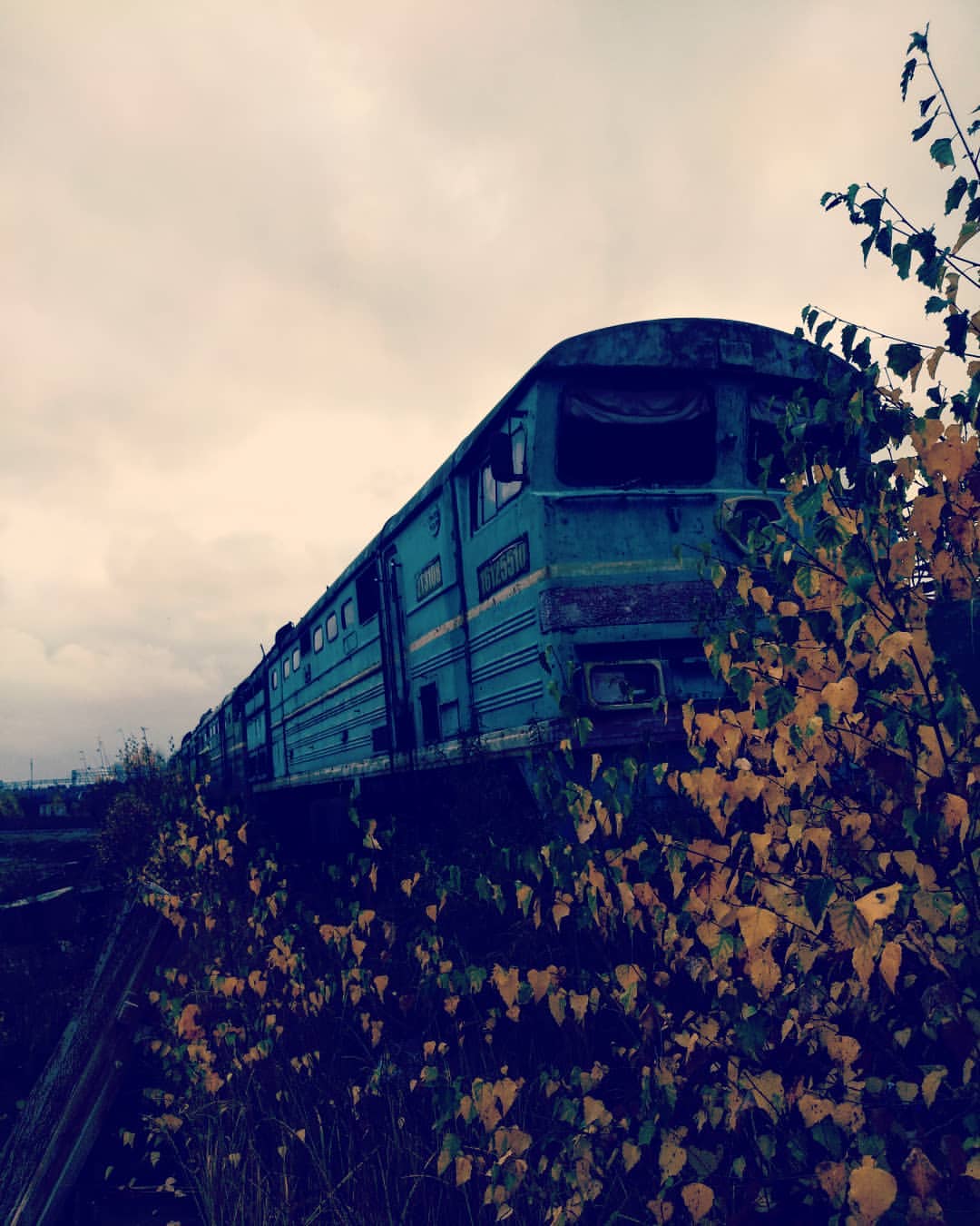 _mr._bart_ в LOOKY — публикация