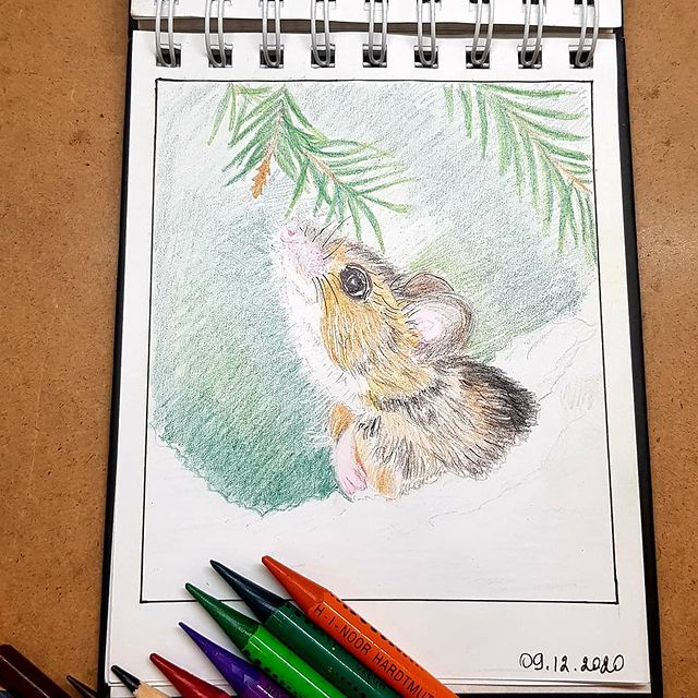 draw_attempts в LOOKY. #мечтай_и_рисуй,#скетч_адвент_dreamanddraw. Не получилось нормал...