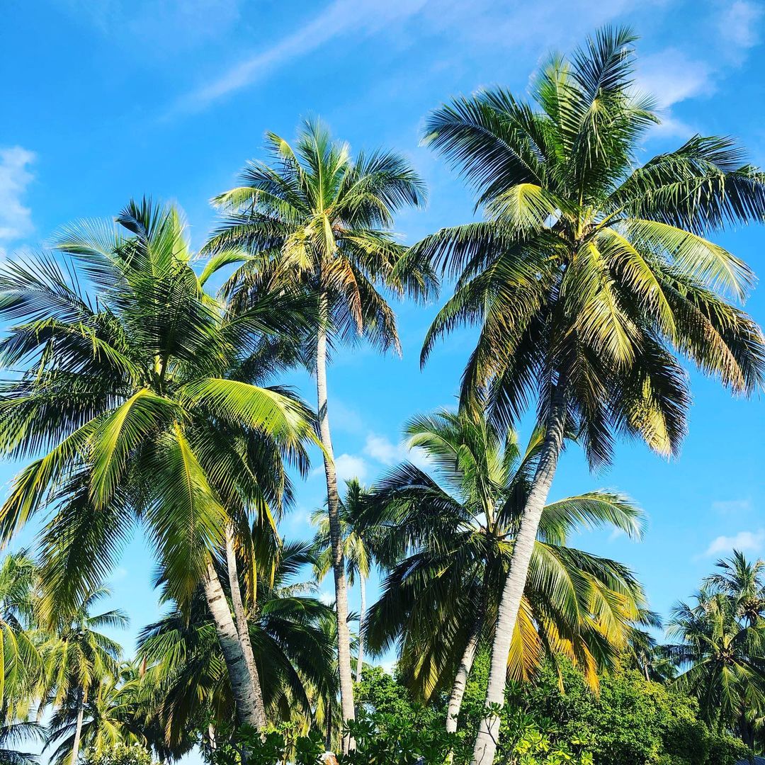 ksusha_love_99_official в LOOKY — @sunislandmv