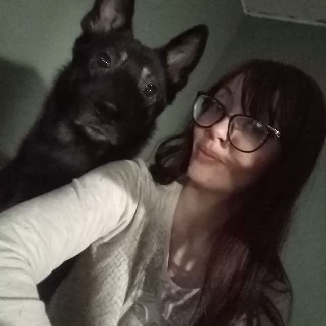 fadeeva_zizya в LOOKY. #mylife,#myfamily,#mydog. Собака-инвалид - не ...