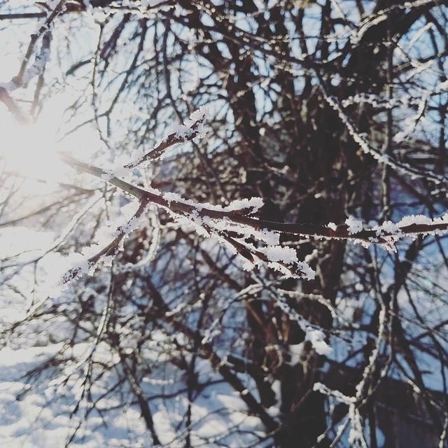 natylia2806 в LOOKY. #зимушказима🌨️#новыйгод#ёлочка🌲#. #зимушказима🌨️#новы...