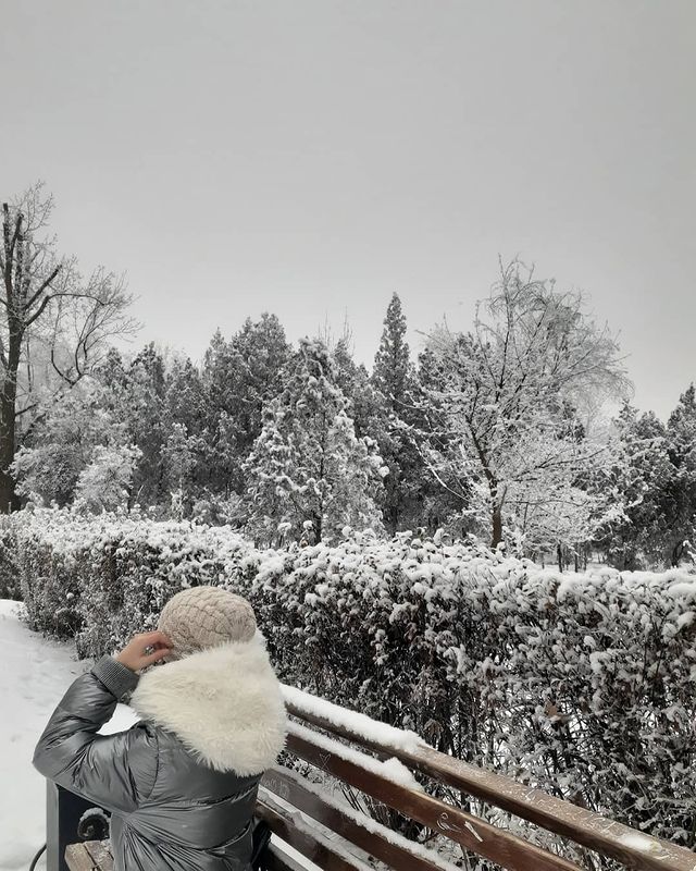 awilaeva в LOOKY. . null