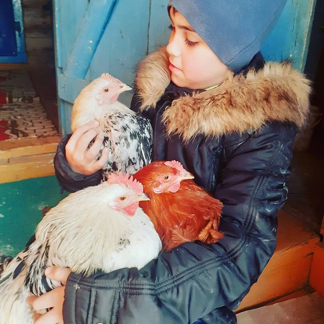 tamara_ieva в LOOKY. . Осмотр пройден🧐И .....