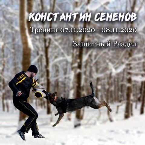 dressirovka_nv in LOOKY. . Многие считают, что ...