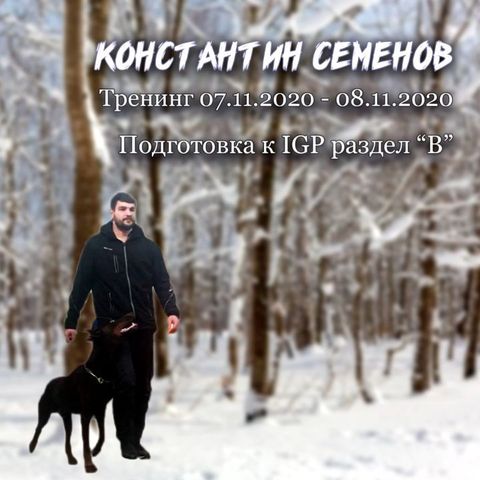 dressirovka_nv in LOOKY. . IGP - это международ...