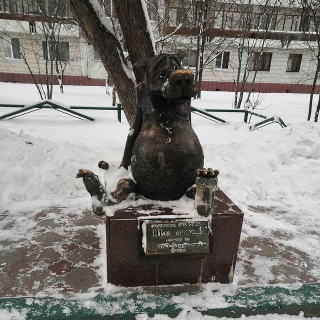 simakovayliys в LOOKY. #Tomsk2020. #Tomsk2020