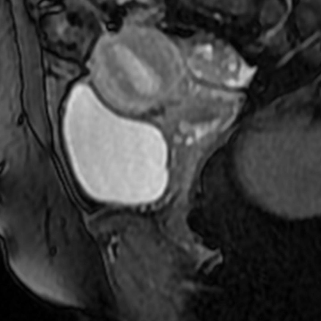 russianradiology в LOOKY — фото 3