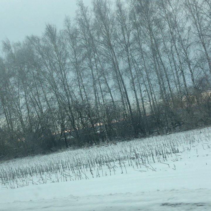 polinatoropkina в LOOKY. . null
