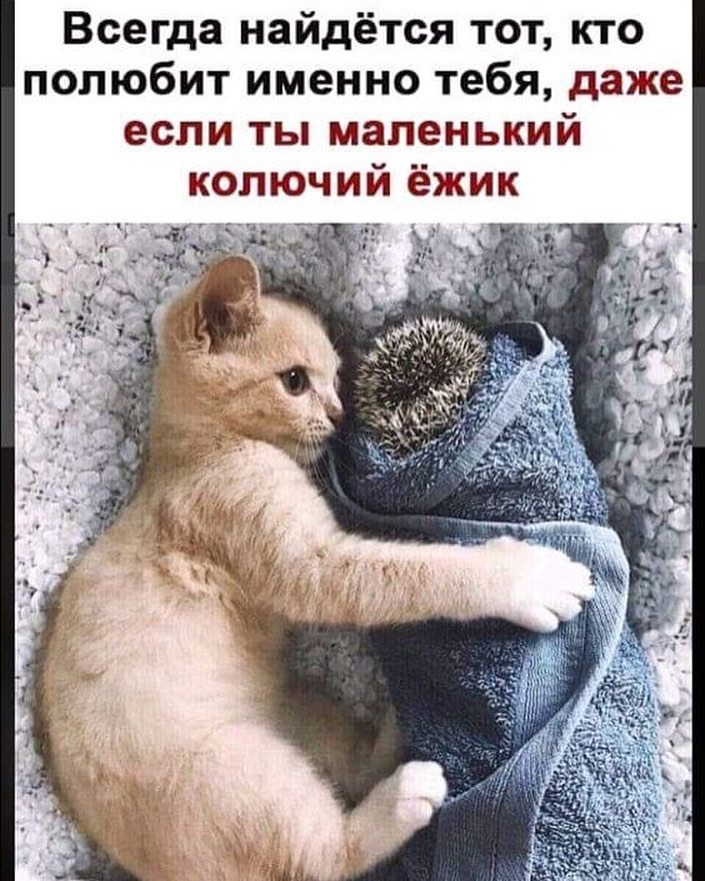 moimir_iv в LOOKY — #да #этотак #правдажизни #правда #правдажизни👆 #реальность 