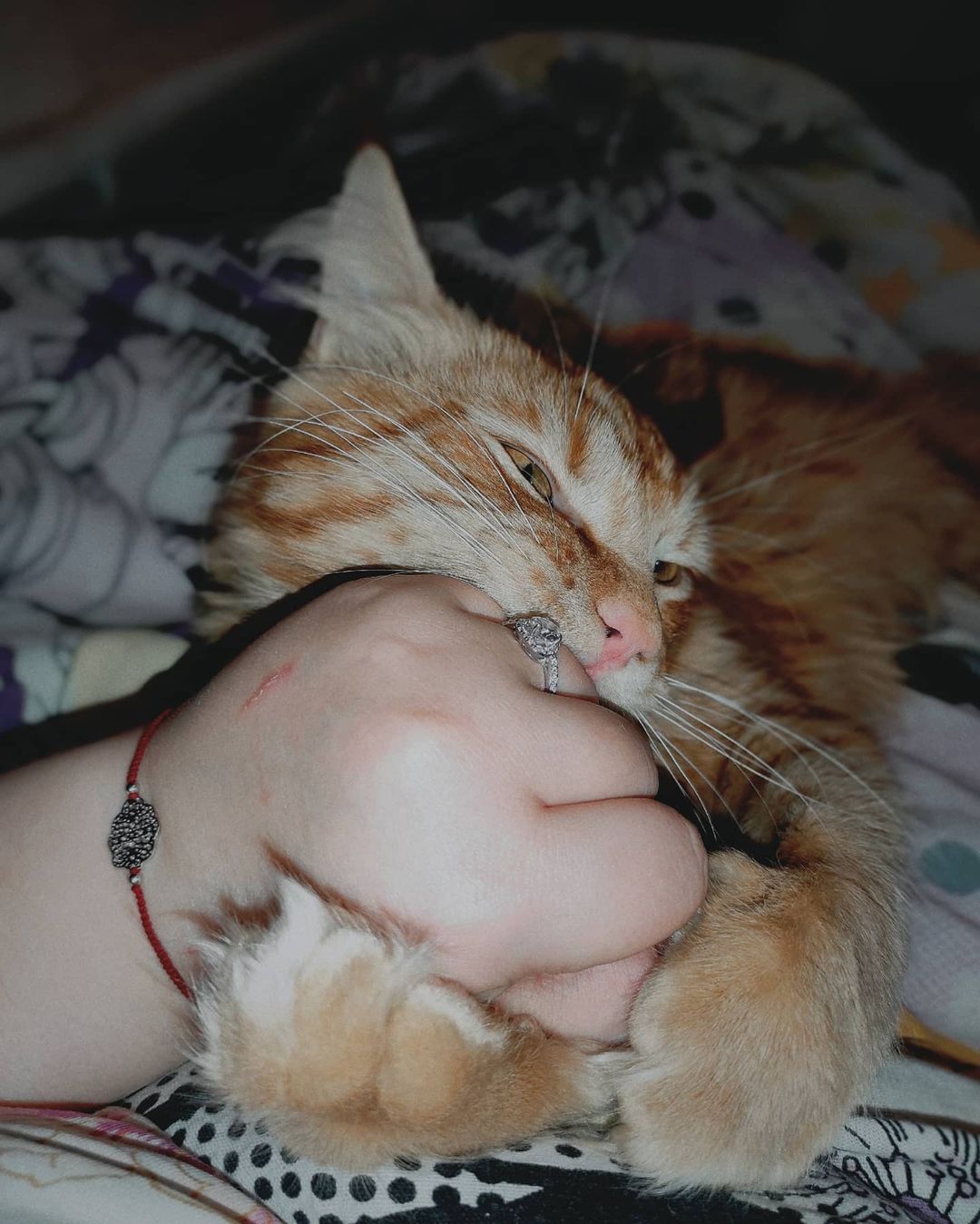 margoastrum в LOOKY — фото 7