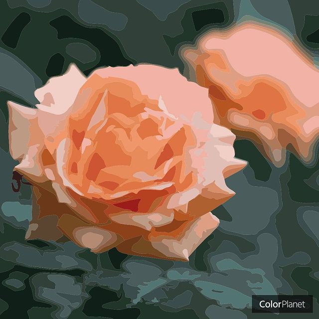 liubimaiakote в LOOKY. . null