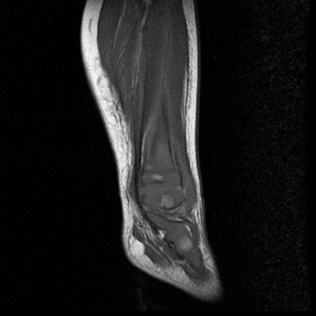 russianradiology в LOOKY — фото 2