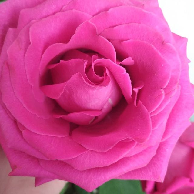 iuliiakalugina774 в LOOKY. . null