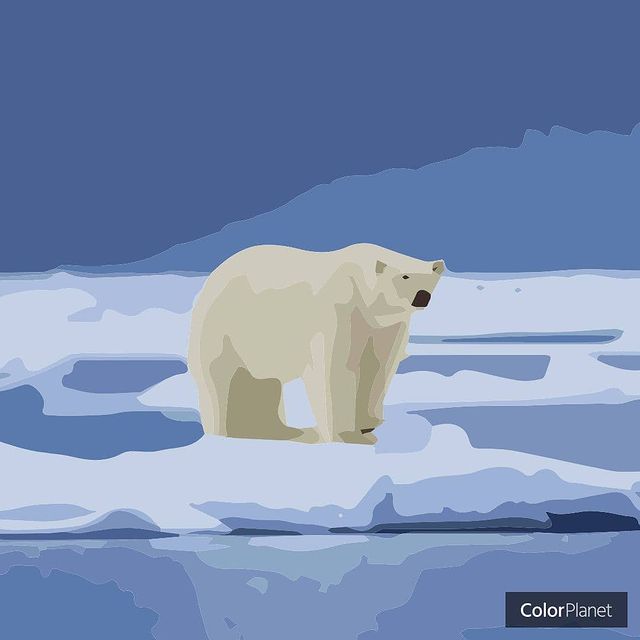 liubimaiakote в LOOKY. . null
