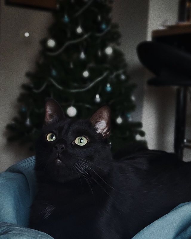 sadeyes_xx в LOOKY. . Сегодня к вам в лент...