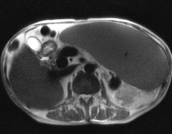russianradiology в LOOKY — фото 2