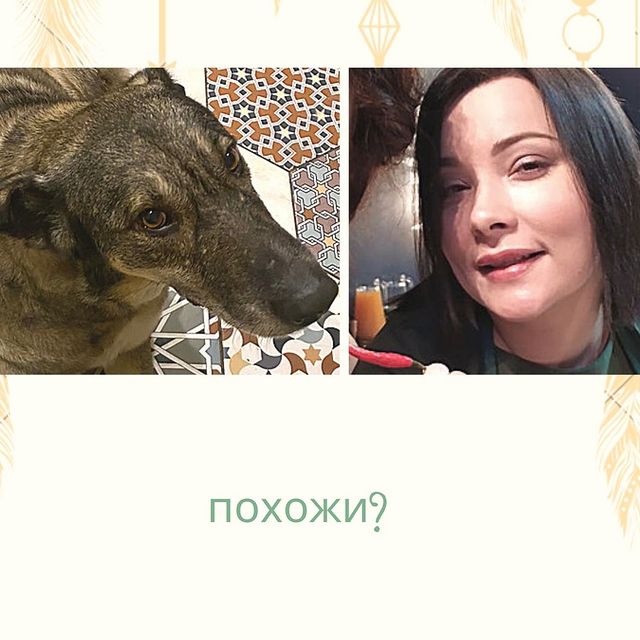 _lyubavina_ в LOOKY. . 😍🐾