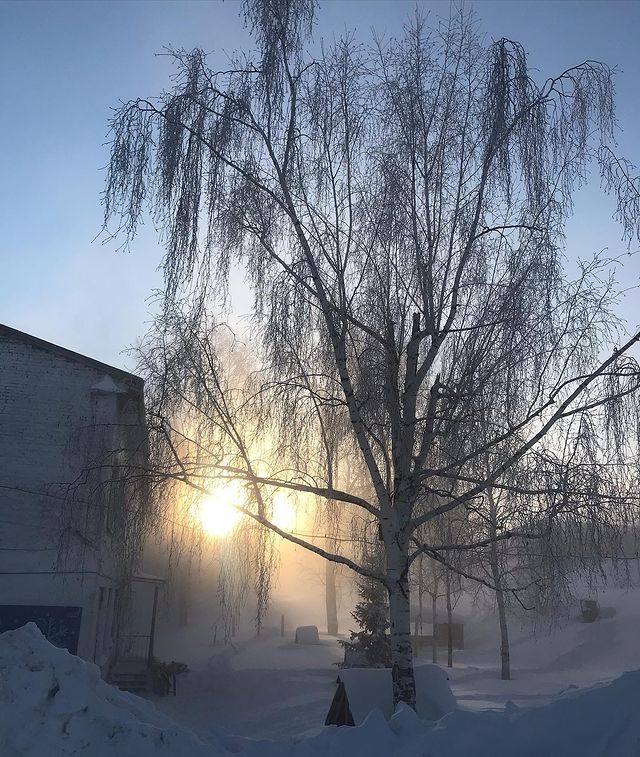 rezvayada в LOOKY. #russianwinter,#morning. Белая берёза
Под мо...