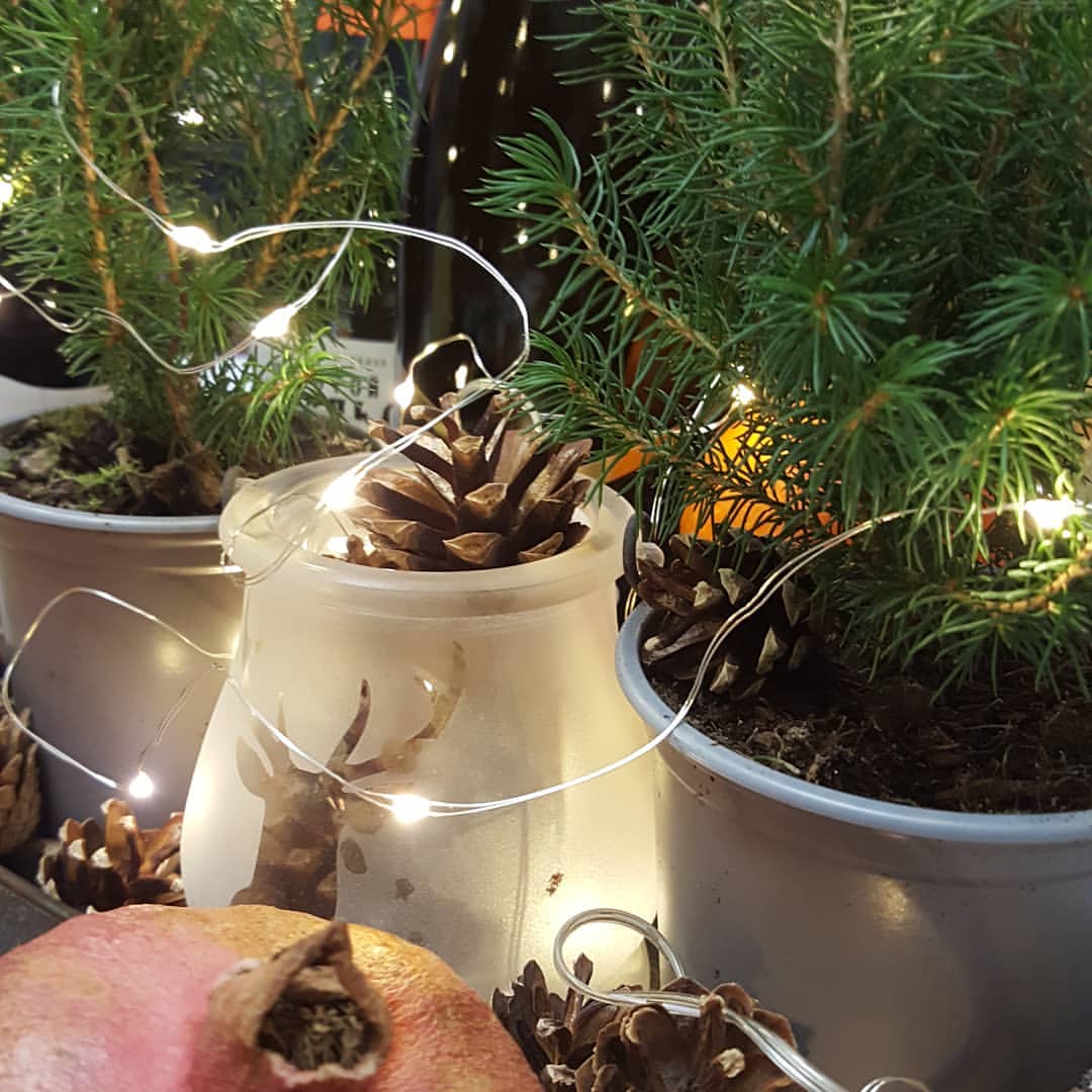 pugcarlino10 в LOOKY — Дорогие мои друзья! С Новым годом! С новым счастьем! Всем же
