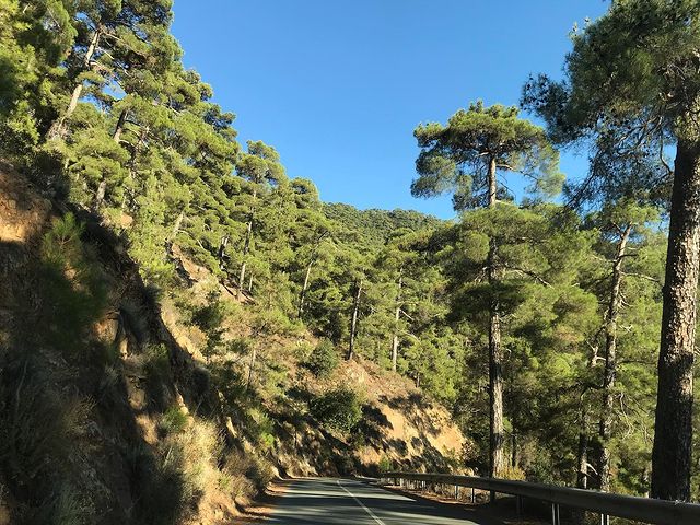 faysal_arf в LOOKY. #mountains,#somewhereintheworld,#nature,#tree,#greentrees. 📸 🏞
#mountains #so...
