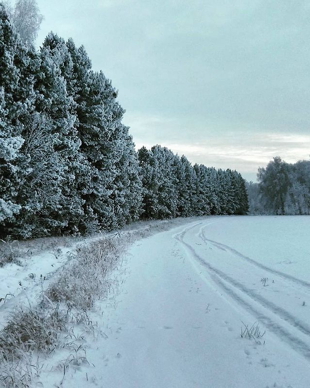 deis55 в LOOKY. #мороз,#зима,#омскаяобласть,#сибирь,#россия,#siberia,#russia,#omsk. Морозные каникулы -3...