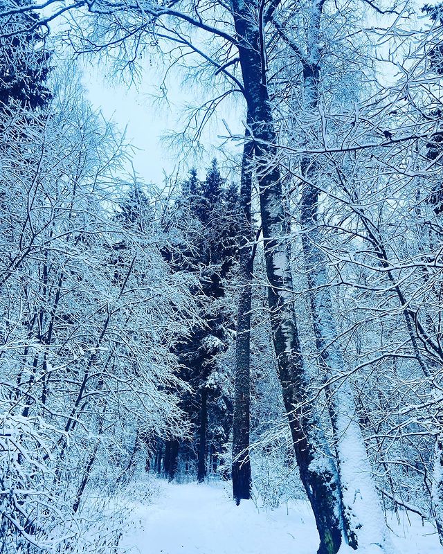 mari_n_ka777 в LOOKY. . Солнечногорские пейз...